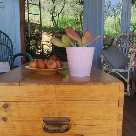 B&B La Casina Di Iris Αρέτσο Εξωτερικό φωτογραφία