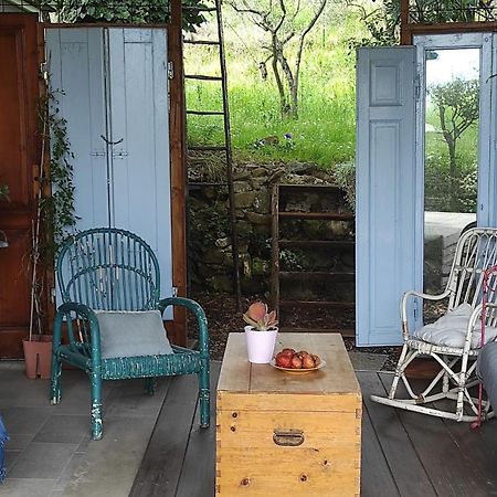 B&B La Casina Di Iris Αρέτσο Εξωτερικό φωτογραφία