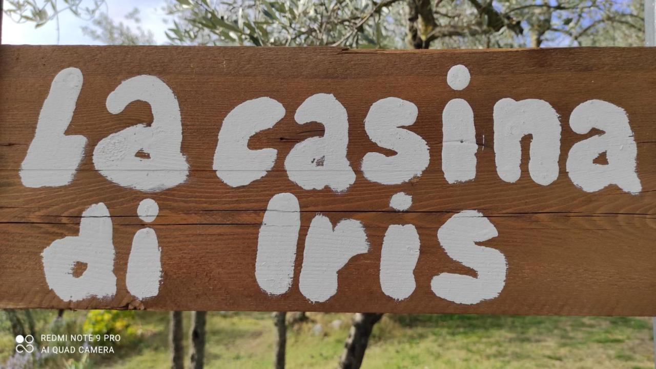 B&B La Casina Di Iris Αρέτσο Εξωτερικό φωτογραφία