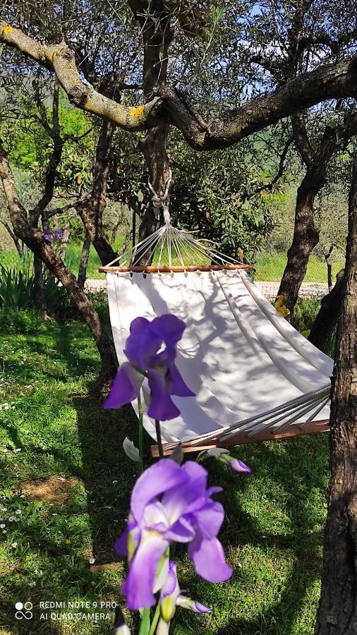 B&B La Casina Di Iris Αρέτσο Εξωτερικό φωτογραφία