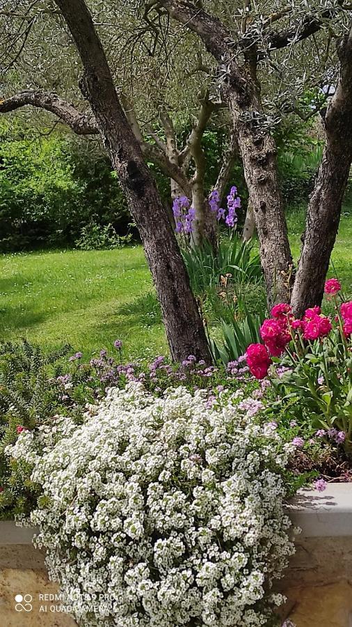 B&B La Casina Di Iris Αρέτσο Εξωτερικό φωτογραφία