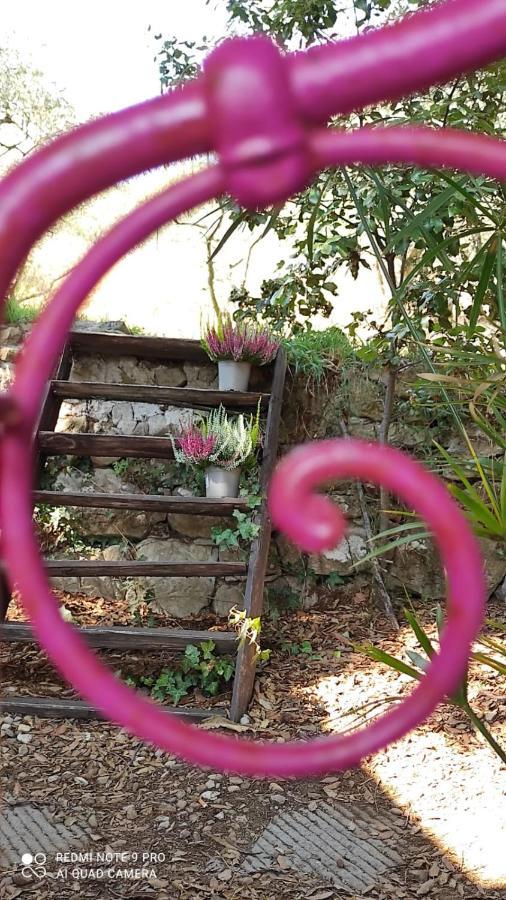 B&B La Casina Di Iris Αρέτσο Εξωτερικό φωτογραφία
