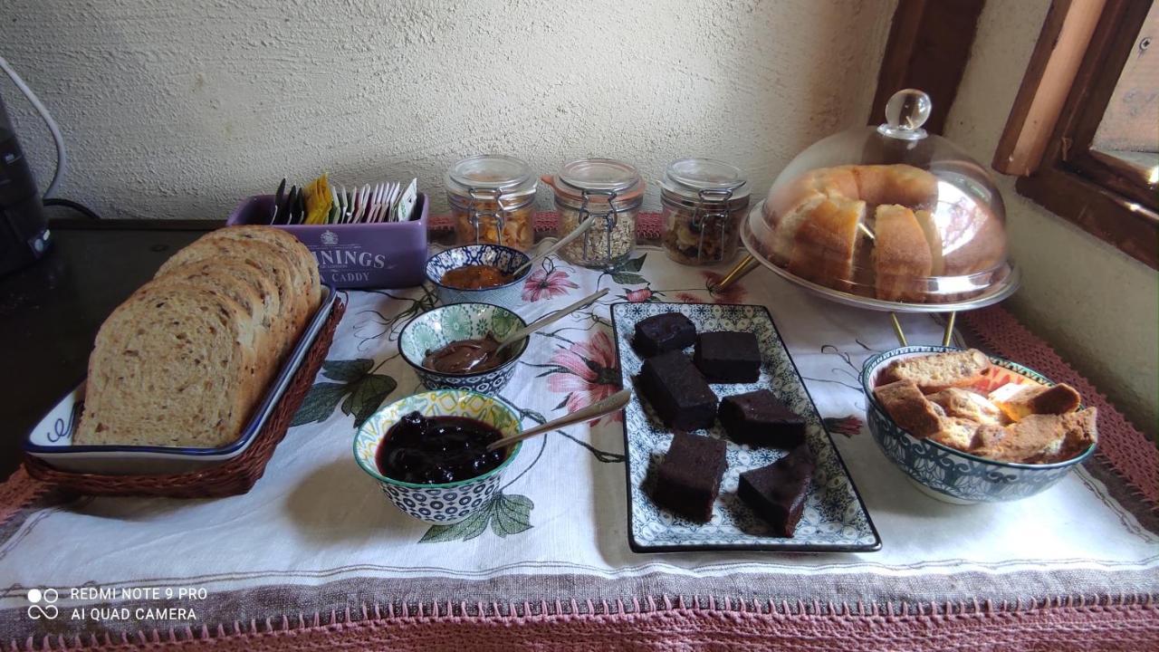 B&B La Casina Di Iris Αρέτσο Εξωτερικό φωτογραφία