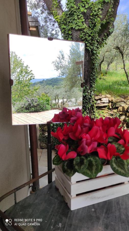 B&B La Casina Di Iris Αρέτσο Εξωτερικό φωτογραφία