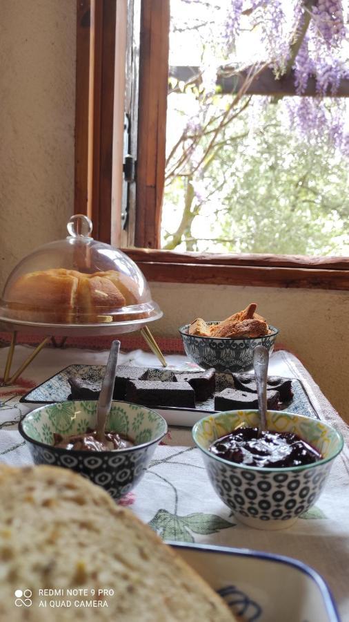 B&B La Casina Di Iris Αρέτσο Εξωτερικό φωτογραφία