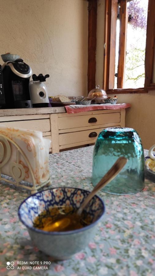 B&B La Casina Di Iris Αρέτσο Εξωτερικό φωτογραφία