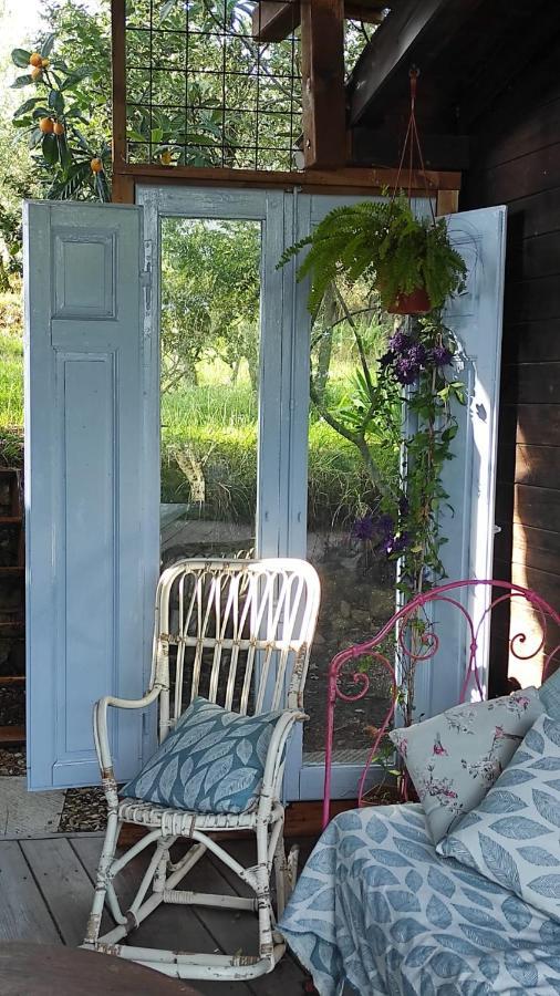 B&B La Casina Di Iris Αρέτσο Εξωτερικό φωτογραφία