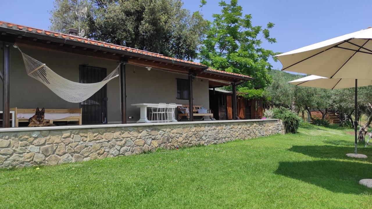 B&B La Casina Di Iris Αρέτσο Εξωτερικό φωτογραφία