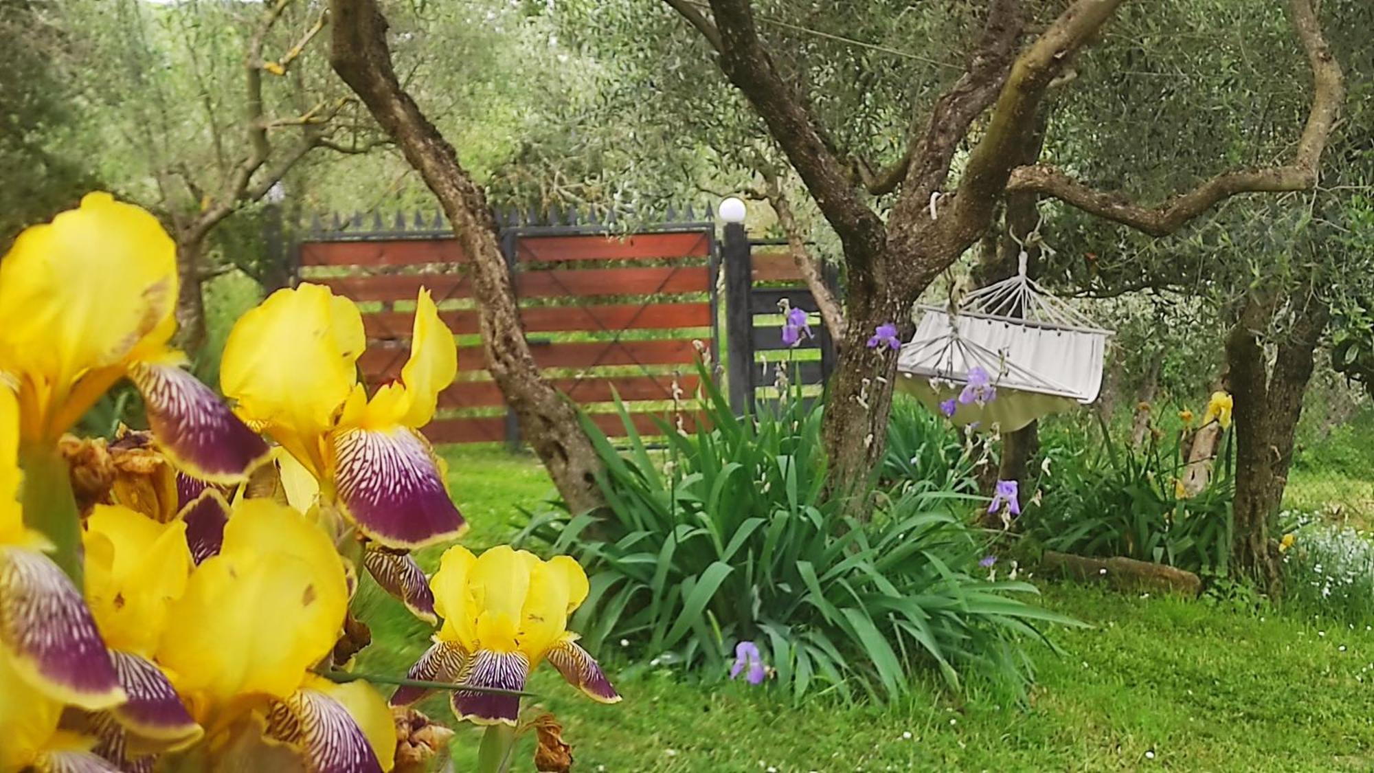B&B La Casina Di Iris Αρέτσο Εξωτερικό φωτογραφία